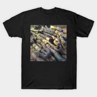 Felled wood in a forest T-Shirt